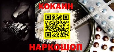 крисы Кингисепп