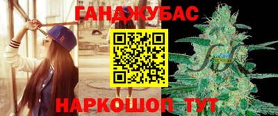 крисы Кингисепп