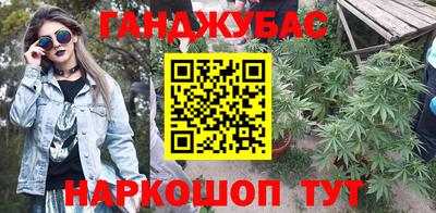 крисы Кингисепп