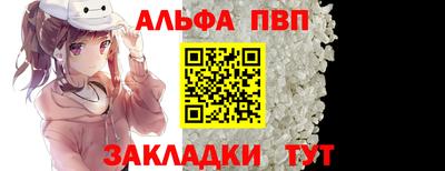 крисы Кингисепп