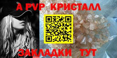 крисы Кингисепп