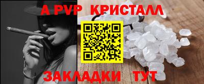 крисы Кингисепп