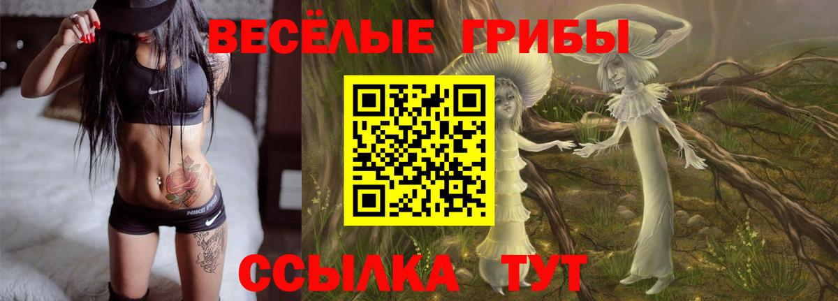 купить  цена  Галлюциногенные грибы Psilocybine cubensis  Галлюциногенные грибы Psilocybe  Вход с VPN  Костомукша 